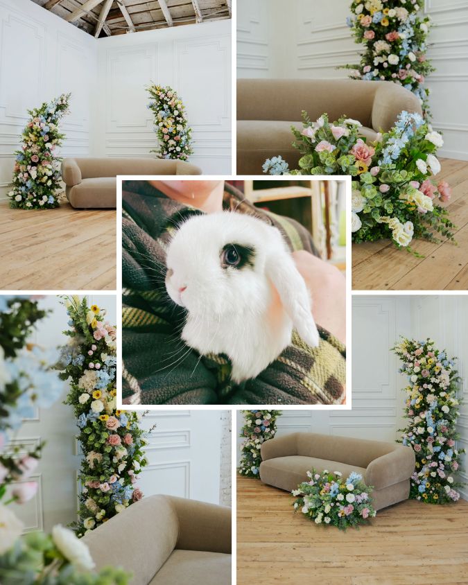 Spring Mini Sessions! - Hamilton Wedding Photographer | Engagement ...